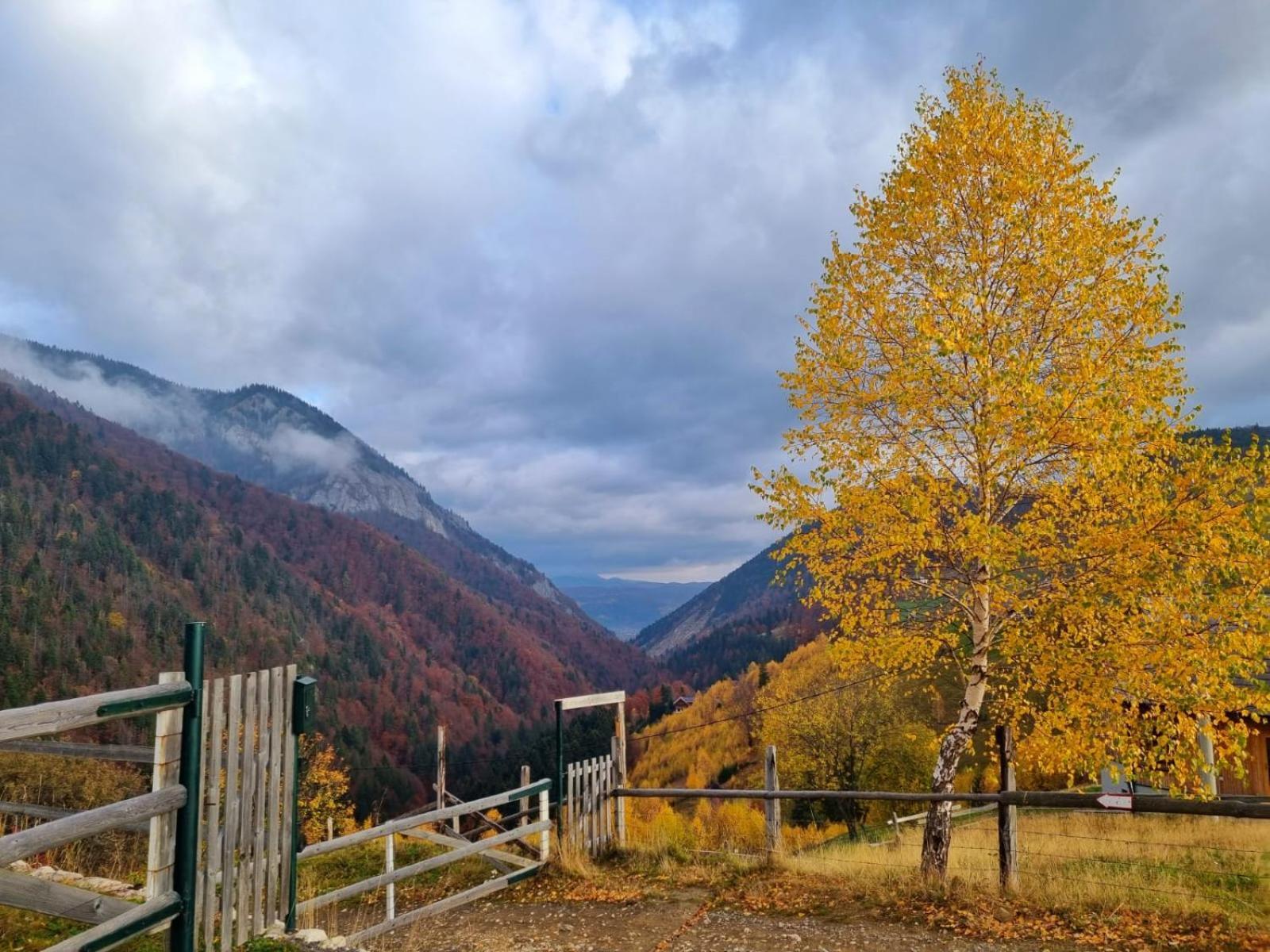 Mosorel Măgura Exterior foto